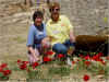 Beirut 037.jpg (109308 Byte)