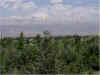 Beirut 043.jpg (76522 Byte)