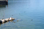 Walensee 2012