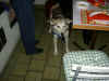 Christmasparty 090.jpg (61276 Byte)